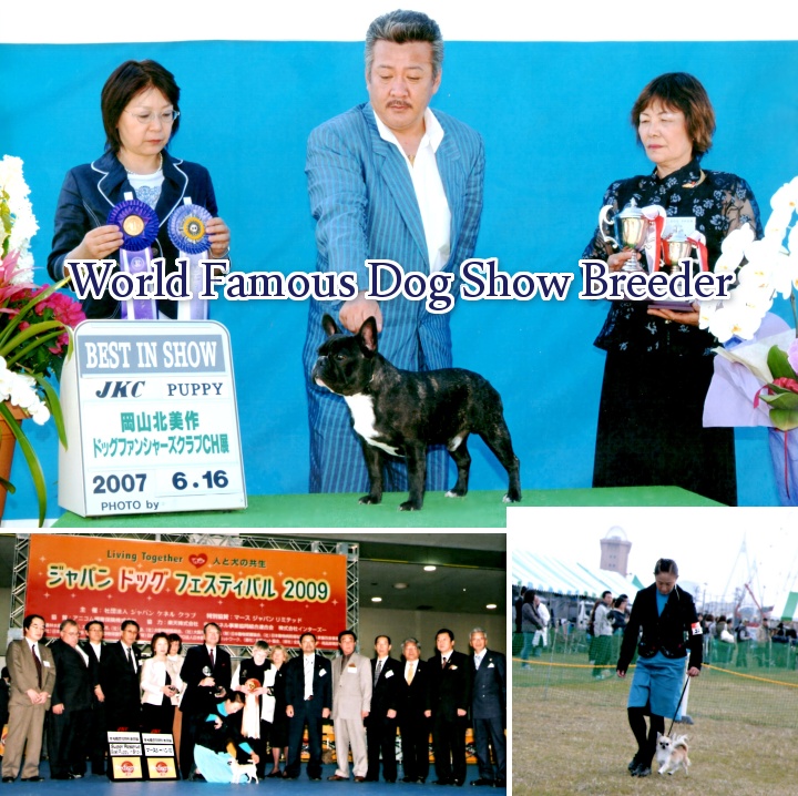 World Famous Show Dog Breeder